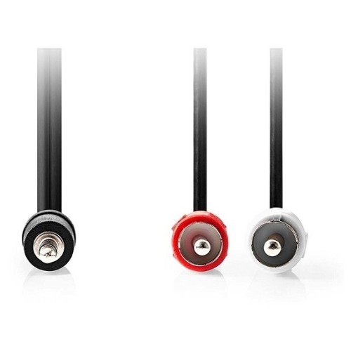 ΚΑΛΩΔΙΟ STEREO-2RCA NEDIS CAGP22200BK30 3m